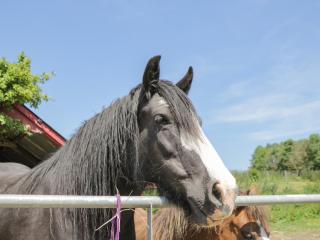 Foulsyke Farm Bungalow - 6