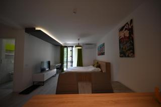Timisoara Prime Residence - Timişoara - 1