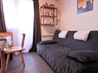 Studio 3 places au pied des pistes avec balcon et animaux acceptés - Chamrousse 1750 - FR-1-340-175 - 0