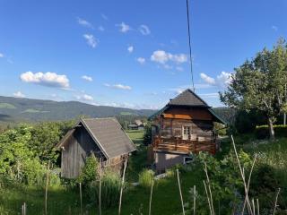 Andi's Berghütte - Weitensfeld - 8
