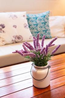 Heated Salt Pool, Jacuzzi & Seaside Spa Villa in MEDANO - 9