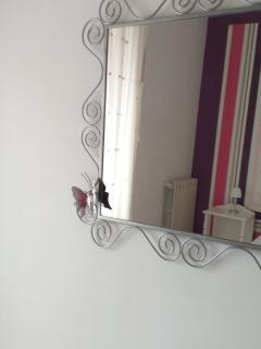 Butterfly House - Castellammare di Stabia - 2