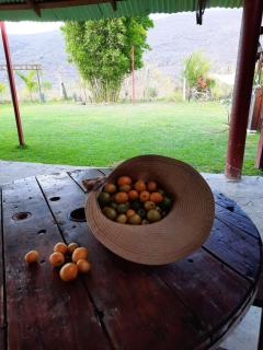 La Cabaña de Blanca - 1
