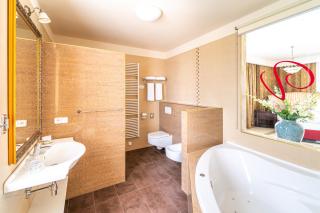Spa Hotel Vita - České Budějovice - 5
