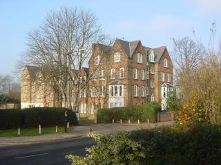 Spacious 2-Bedroom Apartments in Windsor CH - Windsor - 2