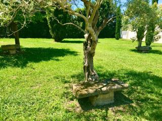 Mas Amandine - Cavaillon - 3