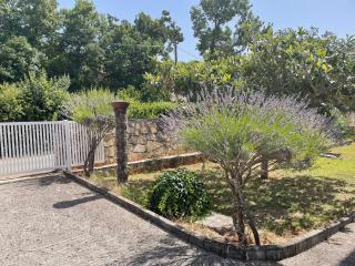 Valica Gardens - Savudrija (Salvore) - 9