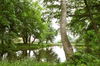 Biohotel Stiftsgut Wilhelmsglücksbrunn - 6