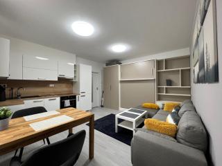 Apartment RIVIERA Lipno 511 - Lipno nad Vltavou - 7