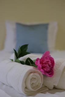 Old Friends Guesthouse - Gyumri - 8