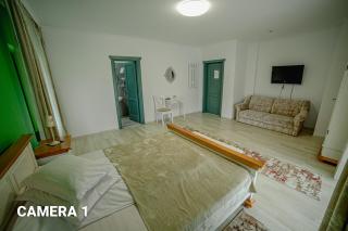 Pensiunea ARC Bucovina - Vama - 2