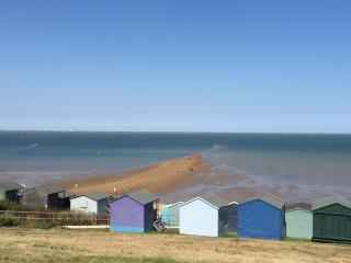 The Seaview Snug - Whitstable - 8