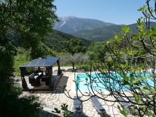 FONT NOUVELLE maison de charme Drôme Provençale, 6 ou 10 personnes avec piscine - Plaisians - 8