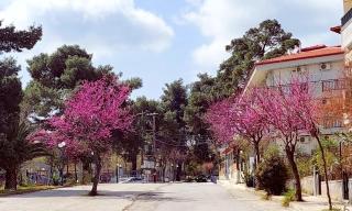 Avra's Home in Chanioti - 2