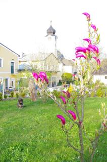 Natur.gut Gartner - Sankt Marien - 9