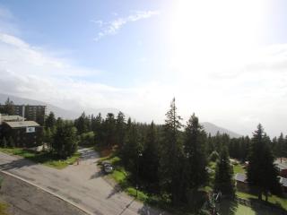 Studio Sud Chamrousse 4 pers. avec balcon - FR-1-549-75 - 1