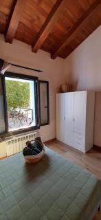 el niu dels ocells 2 - 2