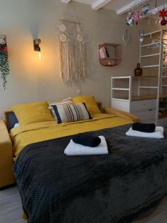 Houssen/Colmar: « Chez Lin’Doux », le Nid Alsacien - Houssen - 9
