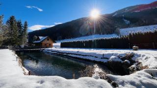 Chalet am Teich Familie Gänser - 2
