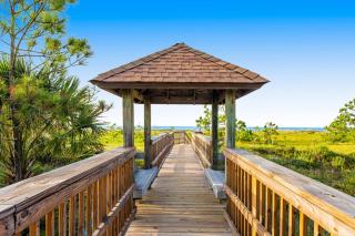 Shore Bird - Port Saint Joe - 9