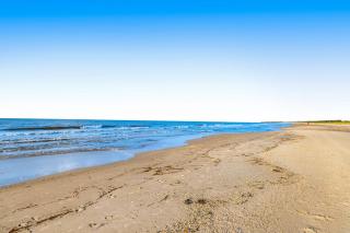 Shore Bird - Port Saint Joe - 8