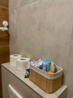 APARTMAN MIK NOVI SAD - Novi Sad - 6