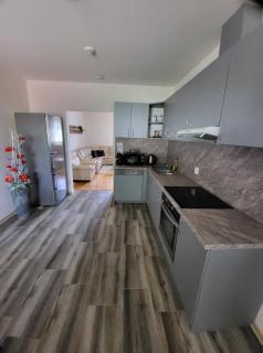 Apartmán u kolejí II - Klobouky u Brna - 9