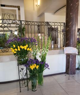 Charlino Plaza - Ruse - 9