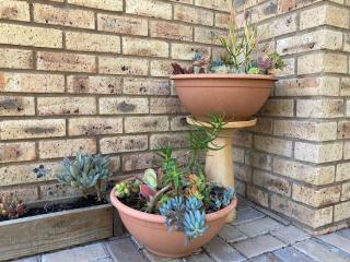 The Lookout Deck - near Secrets Beach - 4