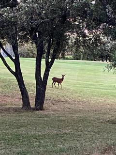 Détente au Green - 8