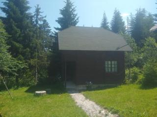 Apartmani Gnezdo - Nova Varoš - 0