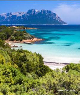 Luxury Liscia di Vacca - Porto Cervo A - 7