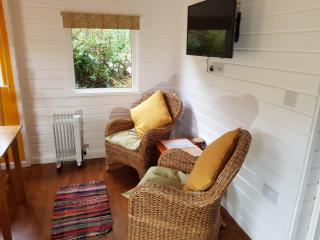 The Old Potting Shed with hot tub. Colan, Newquay. - Newquay - 4