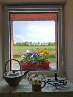 Gîte à la campagne - Conquereuil - 5