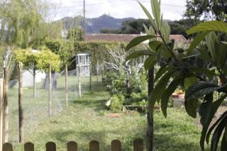 Sintra Farm Villa Guest House - Sintra - 2