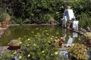 Sintra Farm Villa Guest House - Sintra - 6