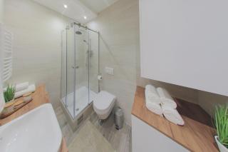 Arena BIG Luxury Apartments with free parking - 1