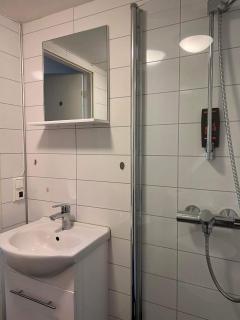FeelHome small 1 bedroom apartment Polar vegen - 1