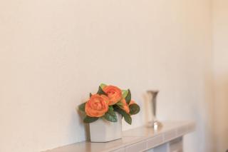 Meadow Lea - 5