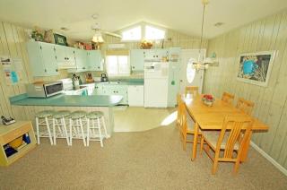 SN116- Daube - Nags Head - 4