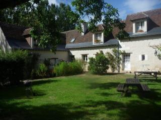 Ancien logis familial avec parc et activités, près des Châteaux de la Loire, tout inclus, animal accepté - FR-1-381-466 - 9