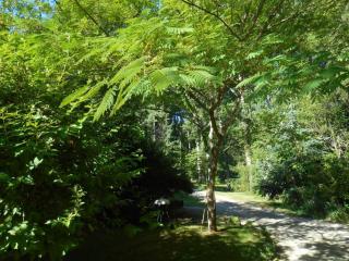 Évasion Romantique: Charmant Gîte 2 Pers., Parc Boisé, Activités & Confort Tout Inclus - FR-1-381-455 - 9