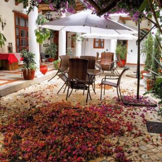 HOTEL PROVINCIA - San Cristóbal de Las Casas - 6