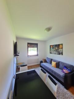 Goran Apartment - Zlatibor - 8