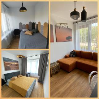Laimė - Palanga - 3