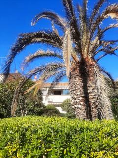 Appartement à Fréjus - 9