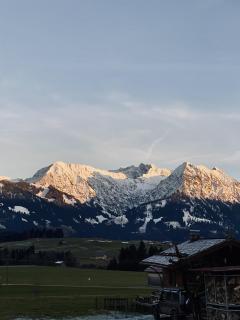Landhaus Goldener Apfel - Bolsterlang - 7