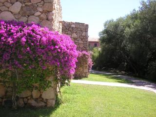 Monolocale in Residence a Porto Rotondo - Sardegna - Porto Rotondo - 5