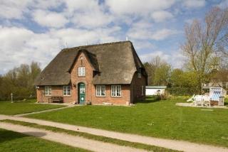 Finkenhof-Wohnung-Tulpe - 9