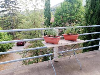 Maison charmante à Sisteron avec terrasse et jardin - Sisteron - 7
